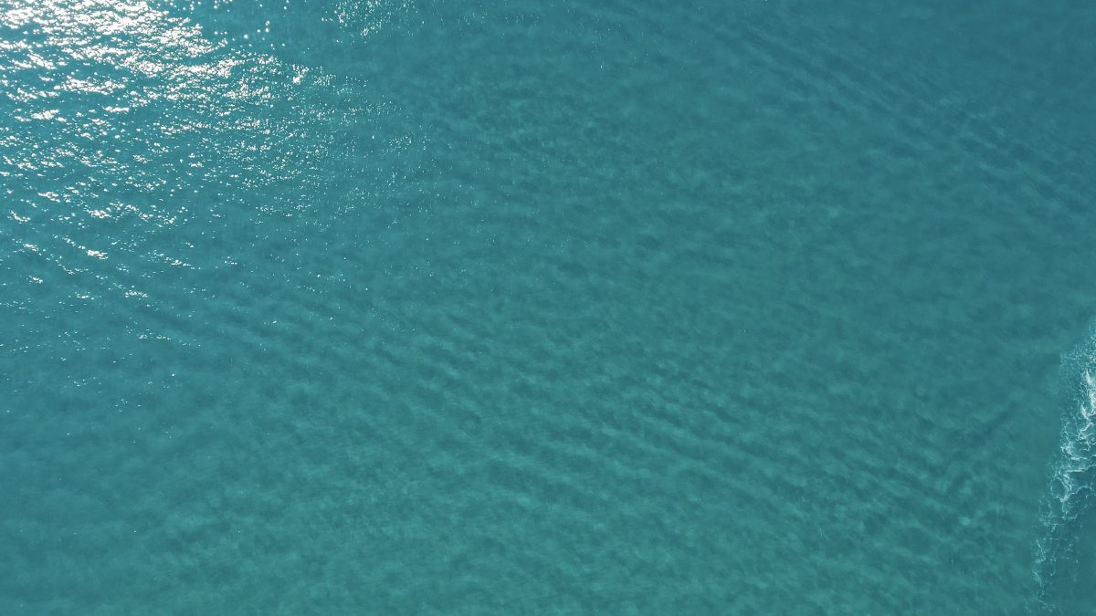 Ocean carbon