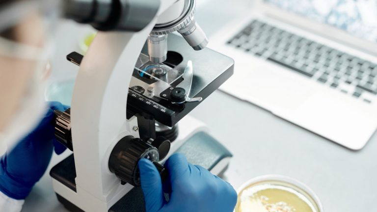 Biological samples under a microscope