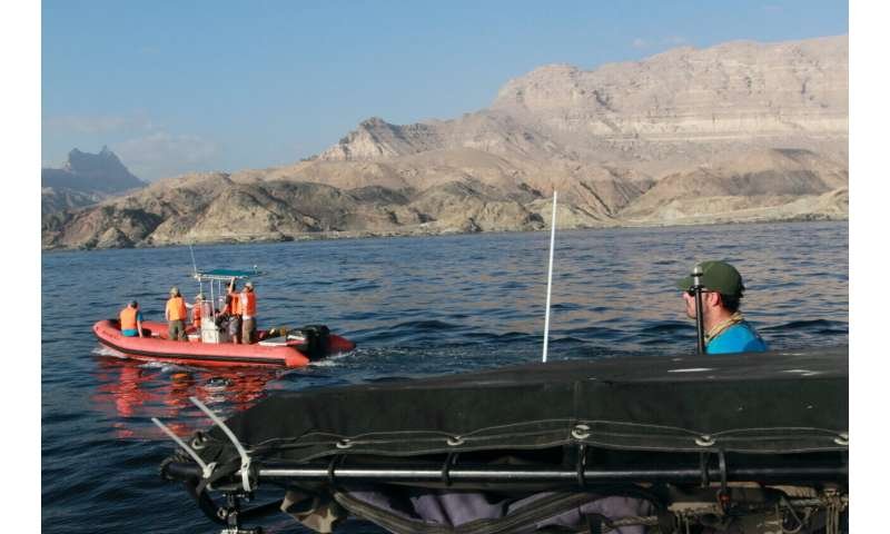 Whale monitoring