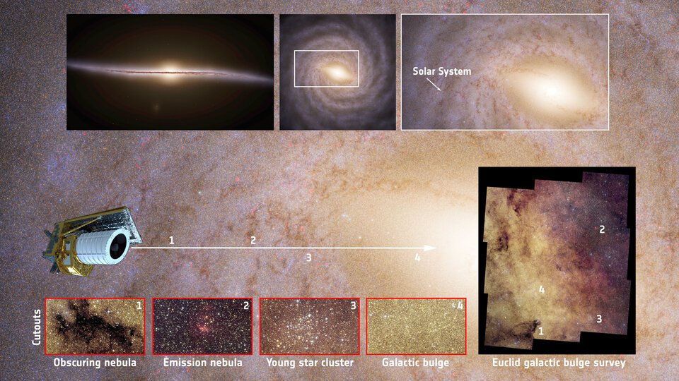Infographic explaining Euclid’s galactic bulge survey