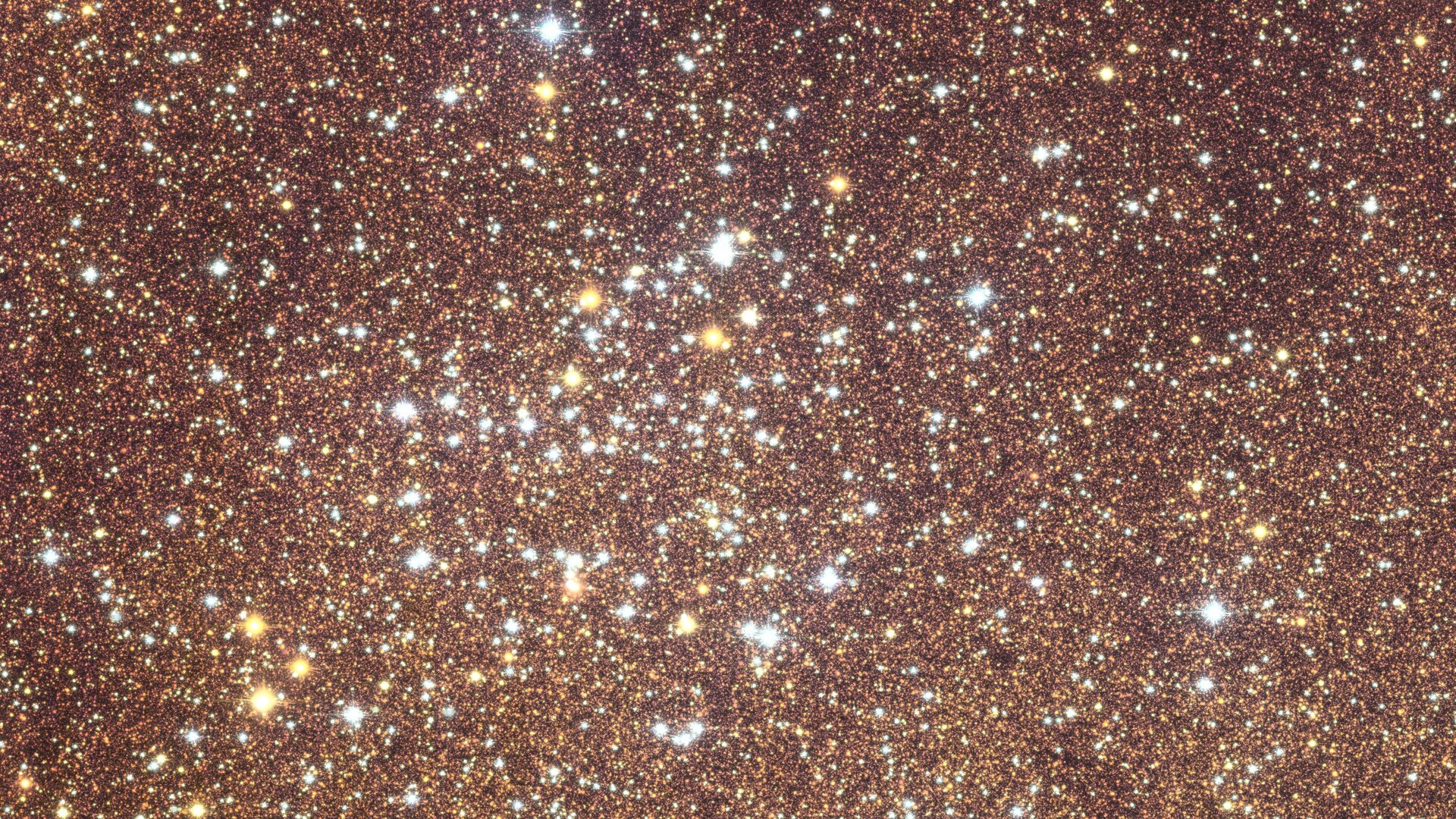 Euclid galactic bulge – star cluster