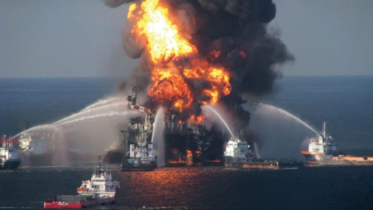 The 2010 Deepwater Horizon disaster