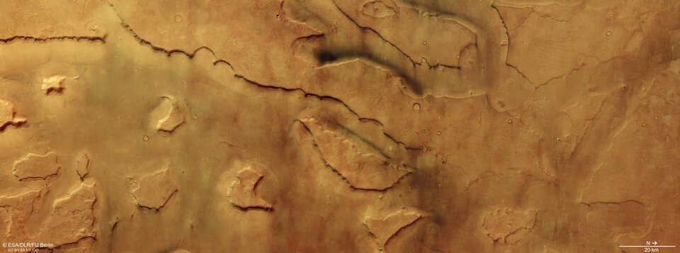 Dust devils galore: Mars Express visits Mamers Valles on Mars