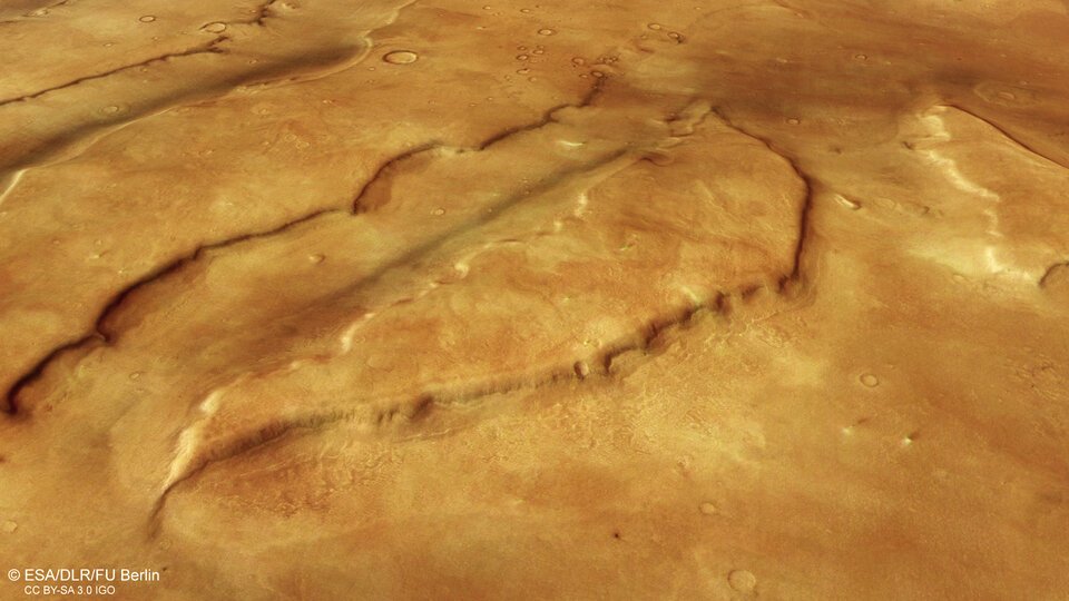 Bird’s-eye view of Mamers Valles