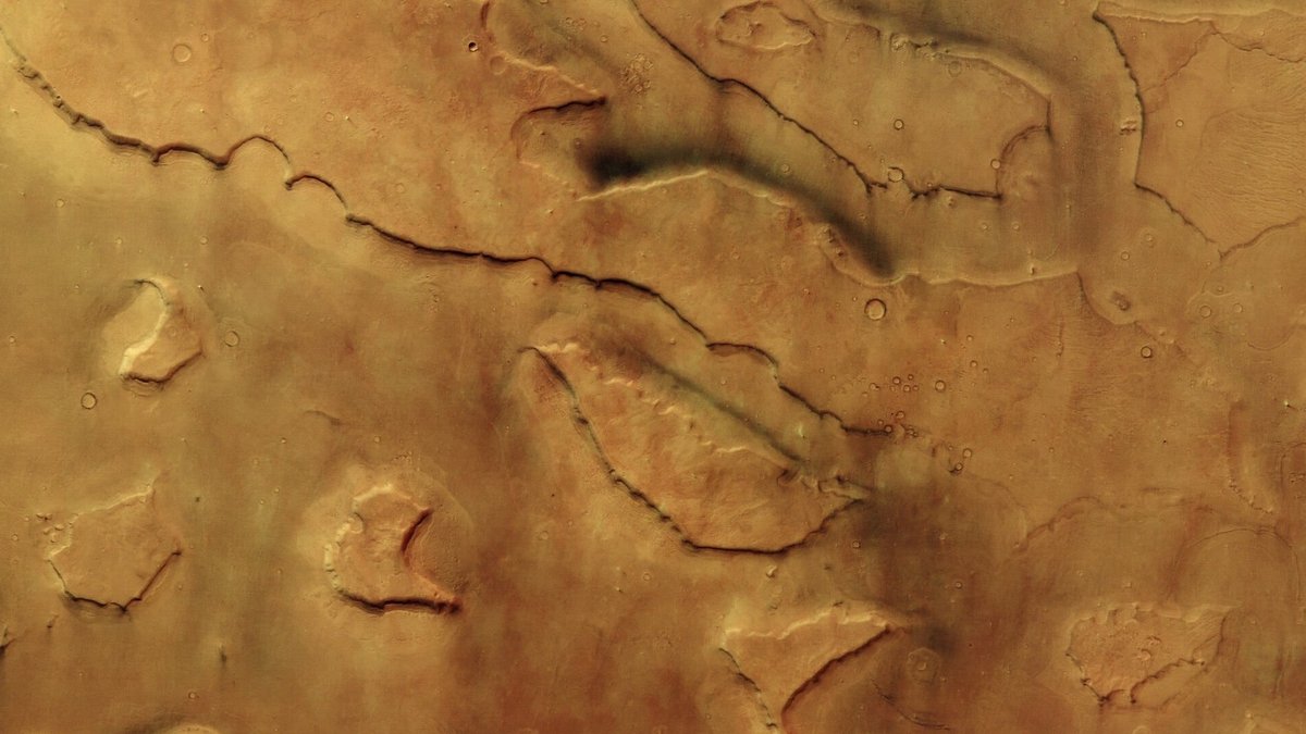 Dust devils galore: Mars Express visits Mamers Valles on Mars