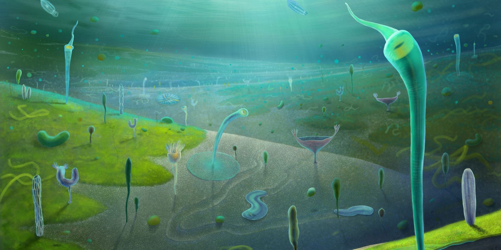 Artist’s impression of Earth’s earliest complex animals during the late Ediacaran period – before the ‘Cambrian explosion’