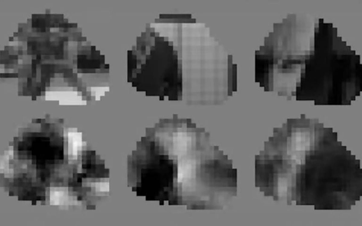 Stills of the clips the mice were shown (top row) compared with stills of the reconstructed videos (bottom row)