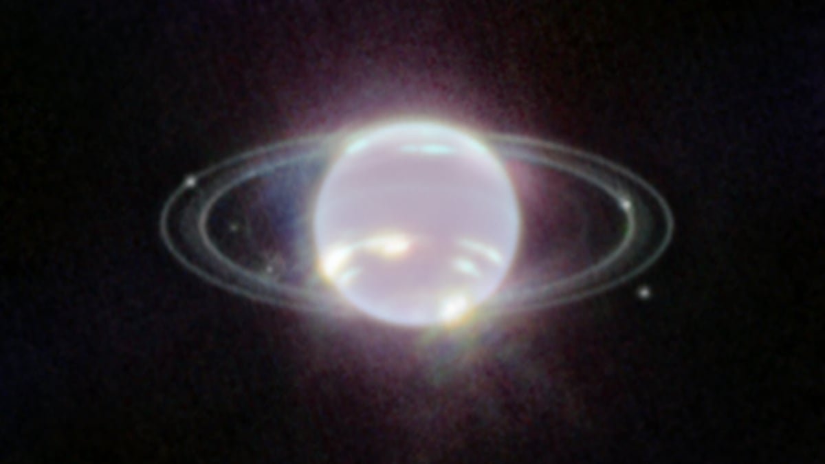 JWST NIRCam image of Neptune and its moon system