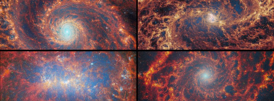 Nearby star-forming FEAST galaxies