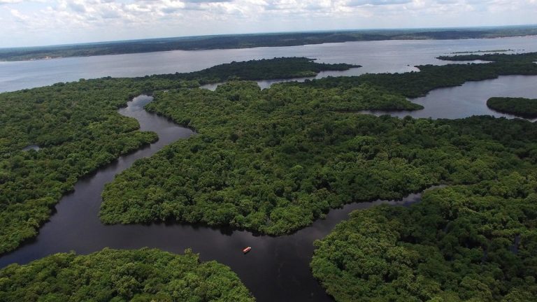 Aerial view of Amazon rainforest canopy and waterways