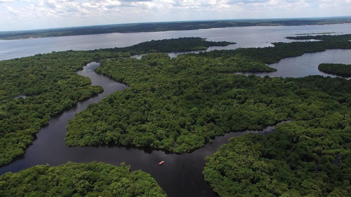 Aerial view of Amazon rainforest canopy and waterways