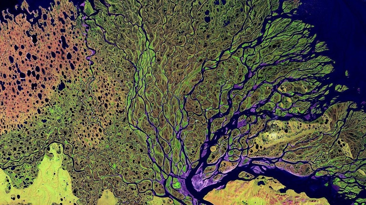 Arctic river delta satellite image