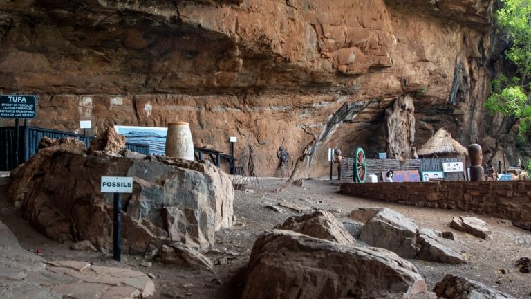 Cave exhibit with fossils and historical artifacts