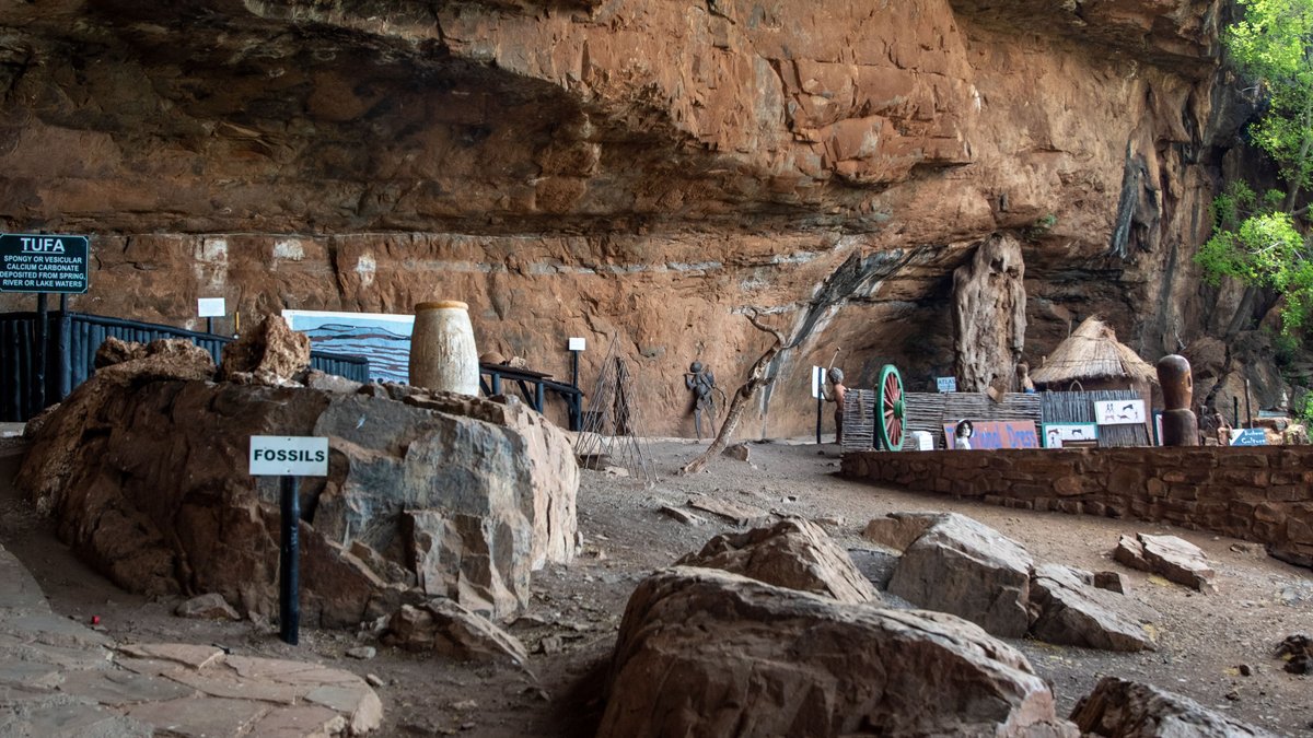 Cave exhibit with fossils and historical artifacts
