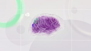 Abstract digital brain illustration representing consciousness and cognition