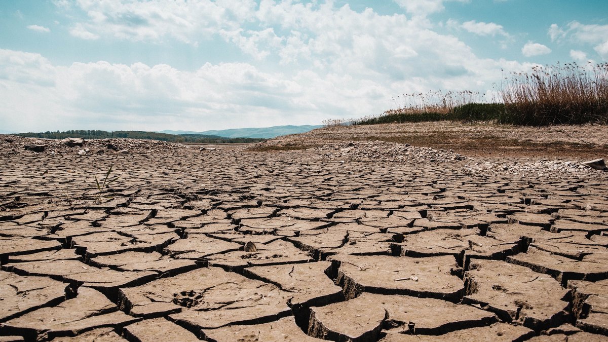 A stark landscape of cracked dry earth beneath a clear blue sky, depicting arid climate and drought