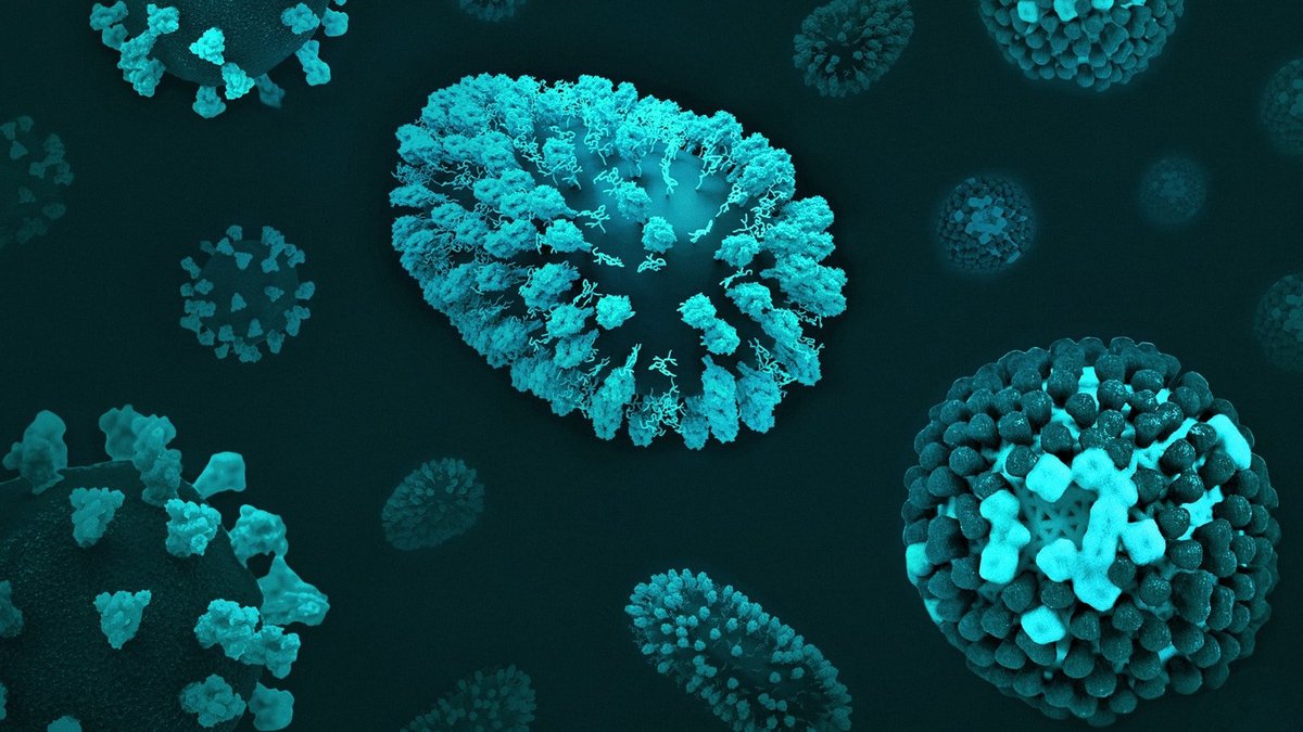 Immune cells microscope illustration