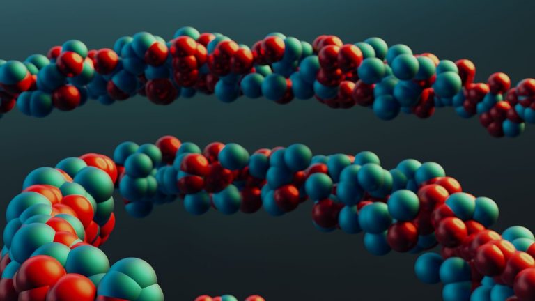 Protein molecular structure model