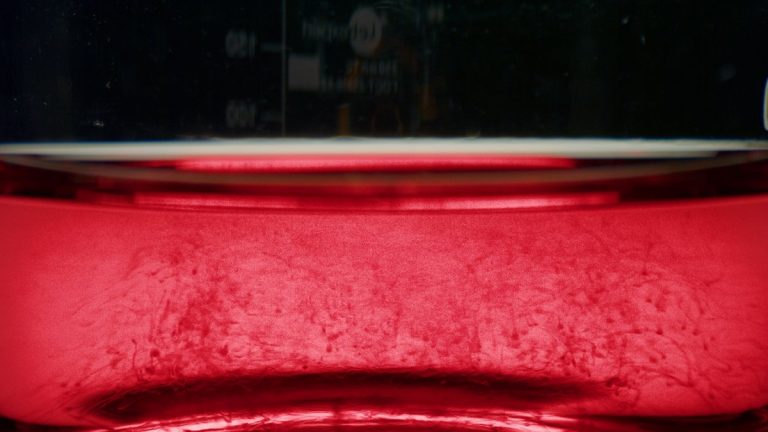 Red blood cells