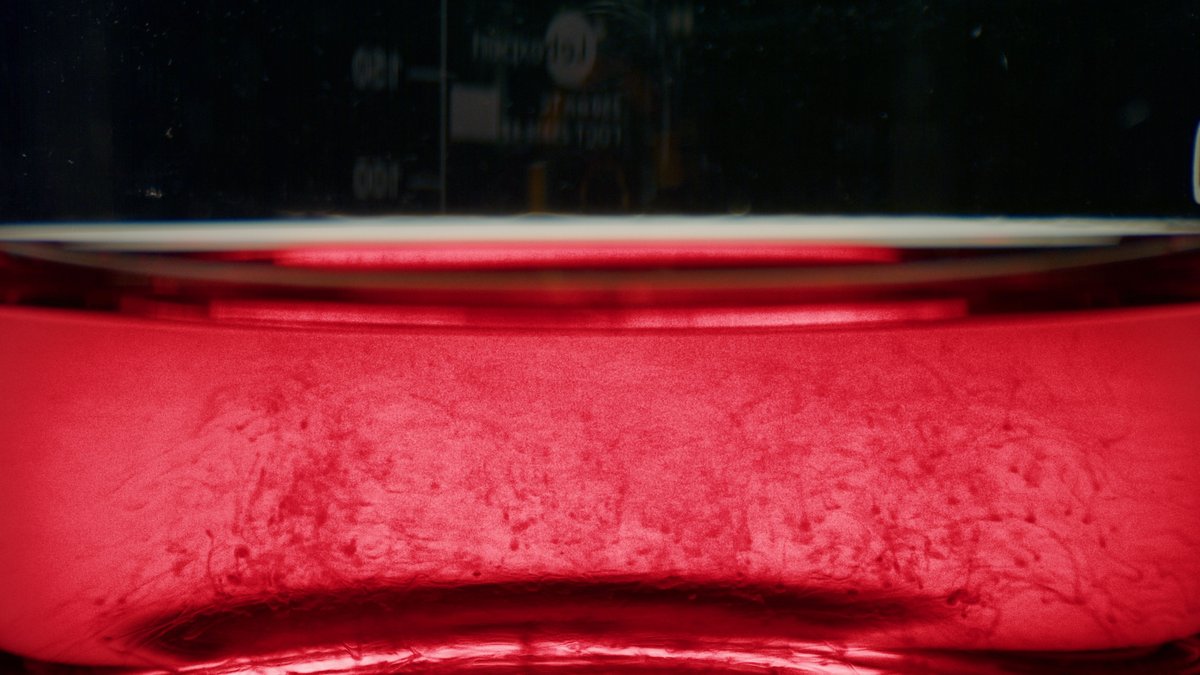 Red blood cells