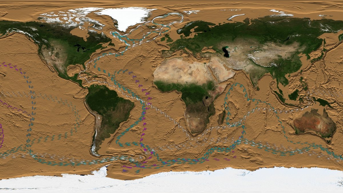 NASA visualization of thermohaline circulation in the global ocean