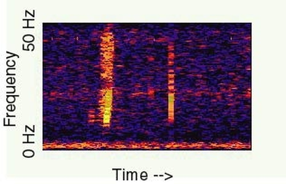 NOAA spectrogram of the 1997 low-frequency sound known as the Bloop