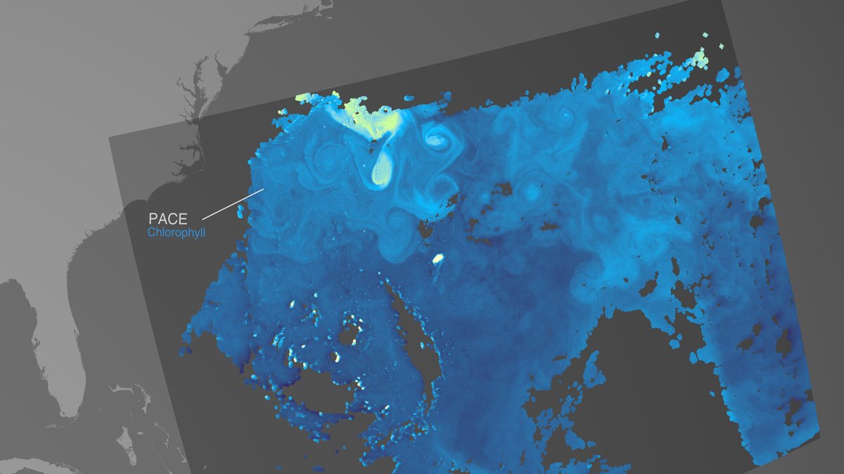 NASA satellite visualization of chlorophyll concentrations across the Atlantic Ocean