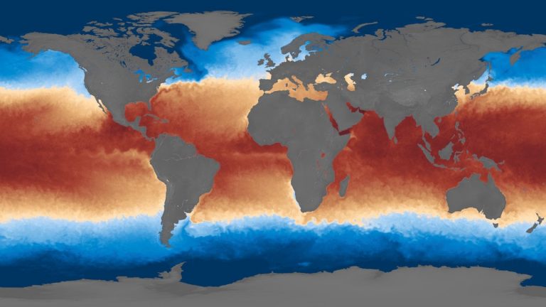 NASA visualization of global sea surface temperatures