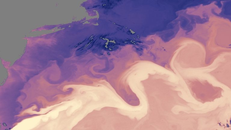 NASA sea surface temperature image showing the Gulf Stream and its eddies