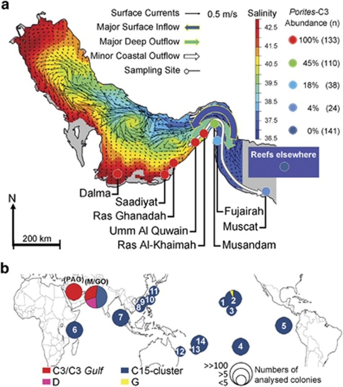 Study map of Persian Gulf and Gulf of Oman coral sampling sites with salinity and current patterns