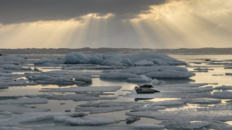 Views around a glacier lagoon Iceland, Northern Europe in winter with snow and ice