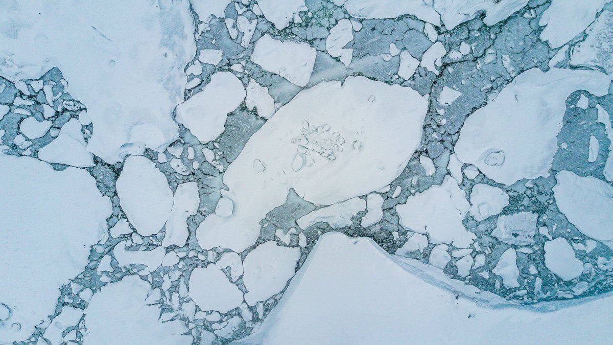 Stunning aerial shot of icy arctic landscape showcasing floating ice and calm winter sea