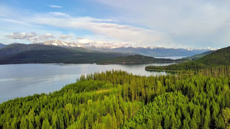 Breathtaking aerial view of lush green forest and distant mountain range by a tranquil lake in Montana, USA