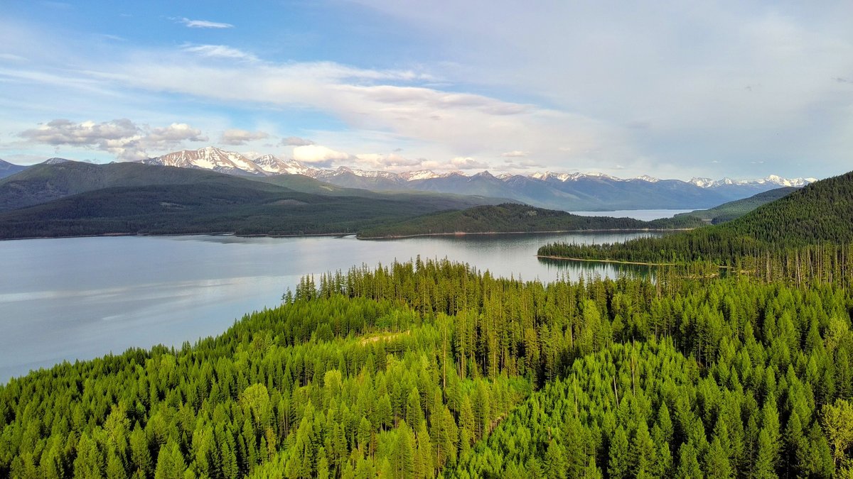Breathtaking aerial view of lush green forest and distant mountain range by a tranquil lake in Montana, USA