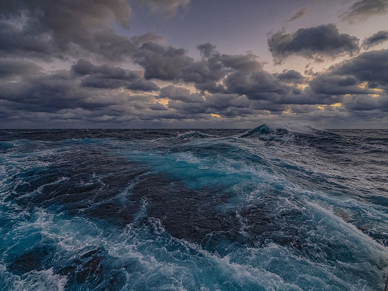 Sometimes menacing, sometimes serene, there’s still so much to be learned about our ocean and what lies beneath its surface. Image courtesy of Art Howard, Global Foundation for Ocean Exploration, NOAA Office of Ocean Exploration and Research, 2019 Southeastern U.S. Deep-sea Exploration. Download image (jpg, 9.9 MB) .