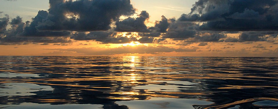 The ocean covers more than 70 percent of the surface of our planet.