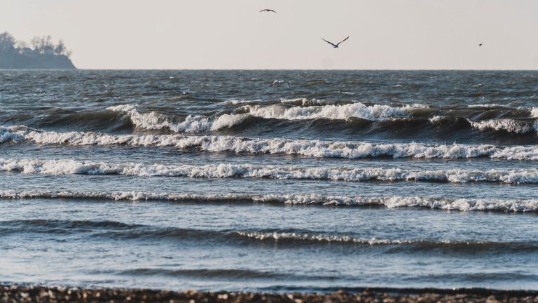 Waves crashing on a Cleveland beach with seagulls soaring above, creating a serene coastal scene