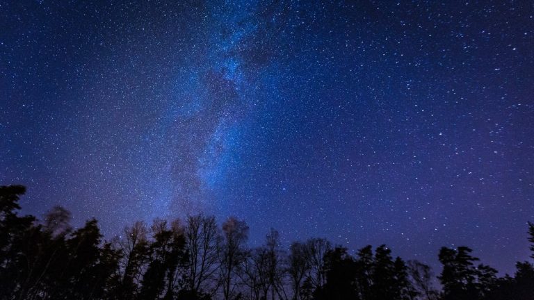 Beautiful night sky with Milky Way over forest. Night landscape