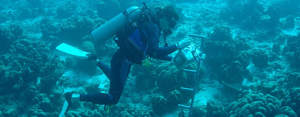 Several thousand marine scientists are busy at work in the United States dealing with a diversity of important issues — from climate change, declining fisheries, and eroding coastlines, to the development of new drugs from marine resources and the invention of new technologies to explore the sea.