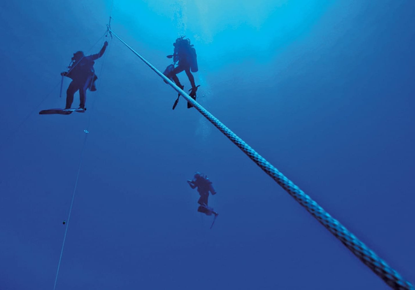 Blue water divers