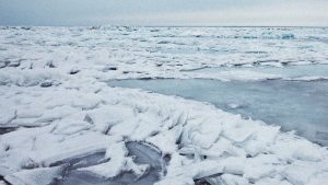 Cracked Arctic sea ice representing winter ice-thickening experiments