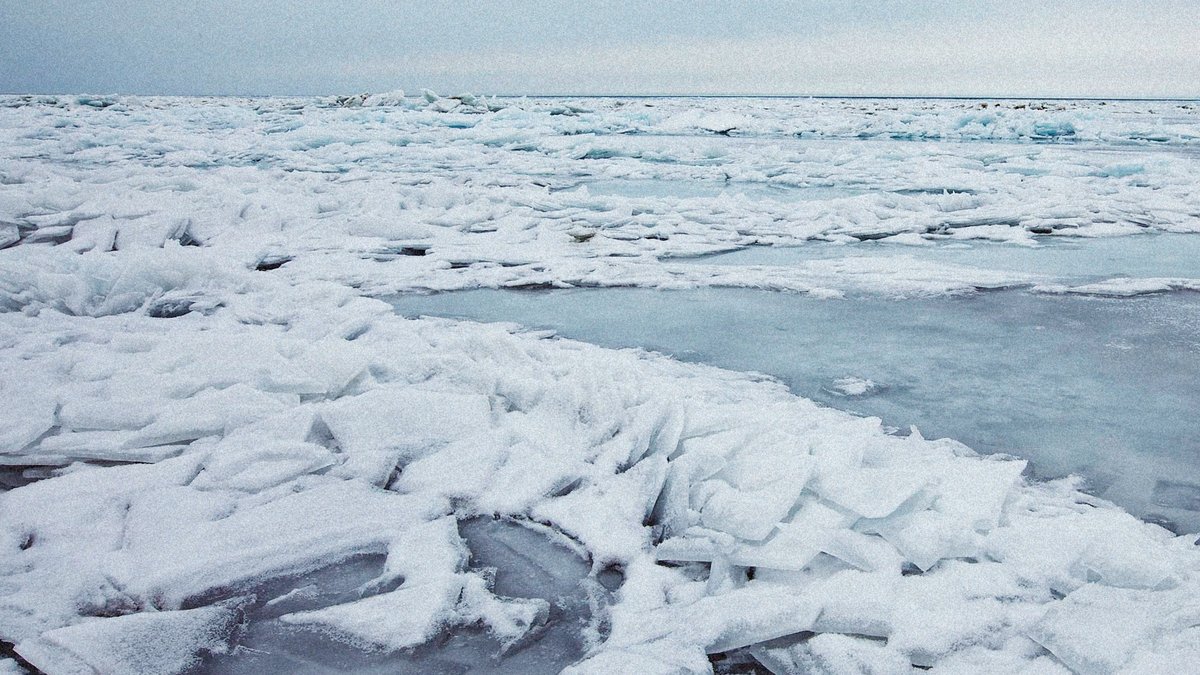 Cracked Arctic sea ice representing winter ice-thickening experiments