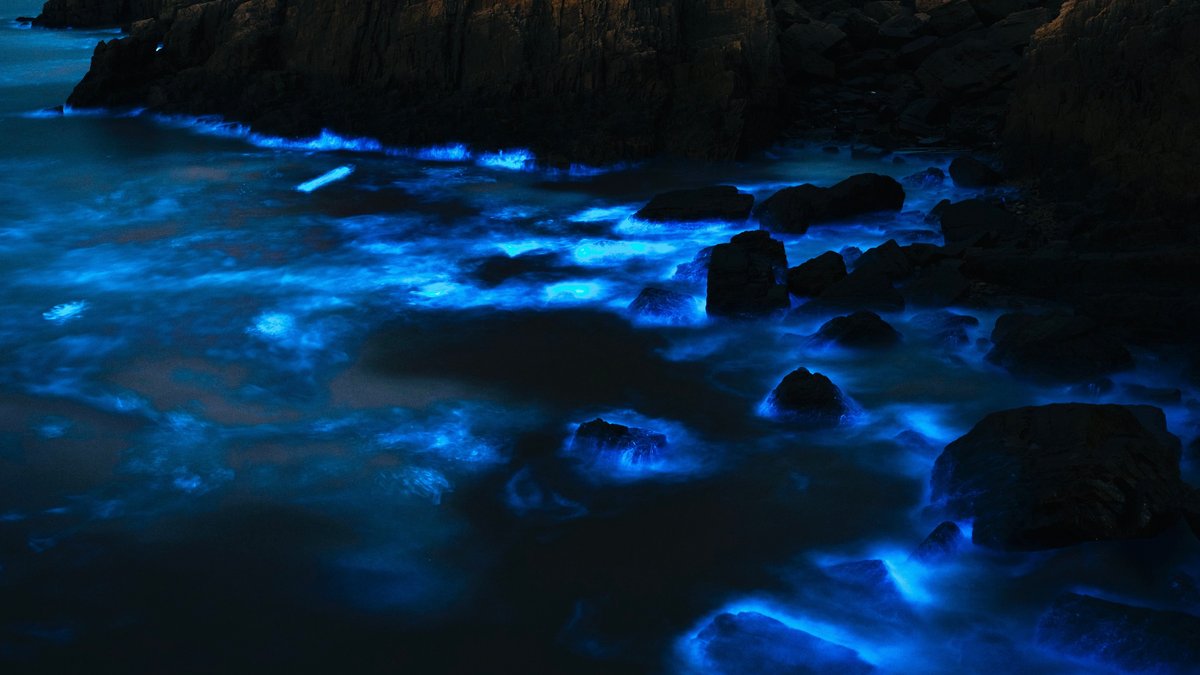 Bioluminescent ocean waves glowing along a rocky coast at night