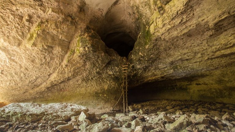Deep limestone cave shaft with a wooden ladder