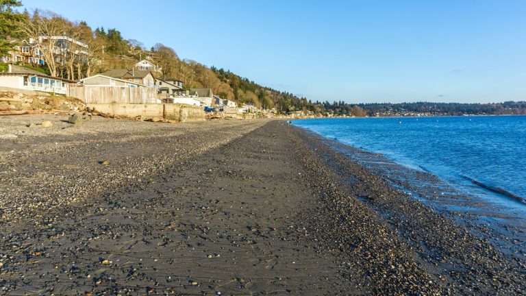 Shoreline at low tide in Burien, Washington