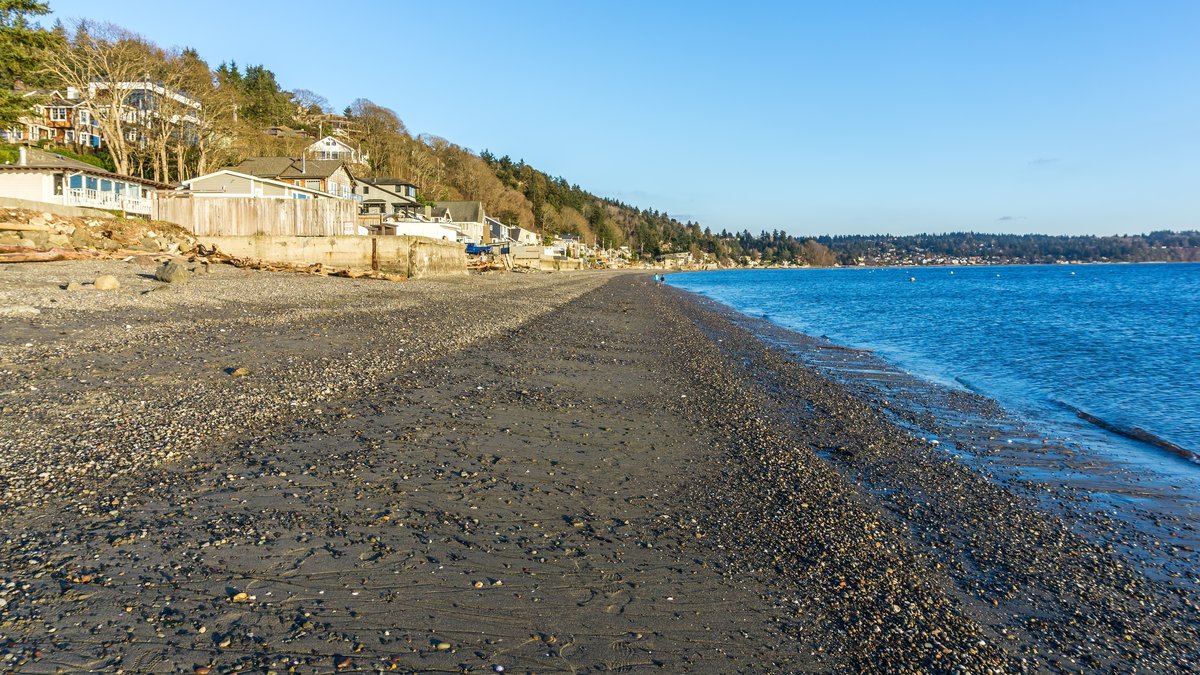 Shoreline at low tide in Burien, Washington