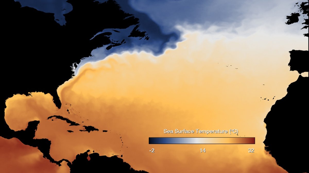 North Atlantic sea surface temperature map showing the warm Gulf Stream