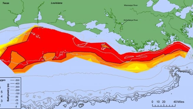 Map of the low-oxygen dead zone on the northern Gulf coast