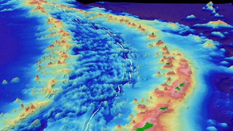 Bathymetry map of the Mariana Trench