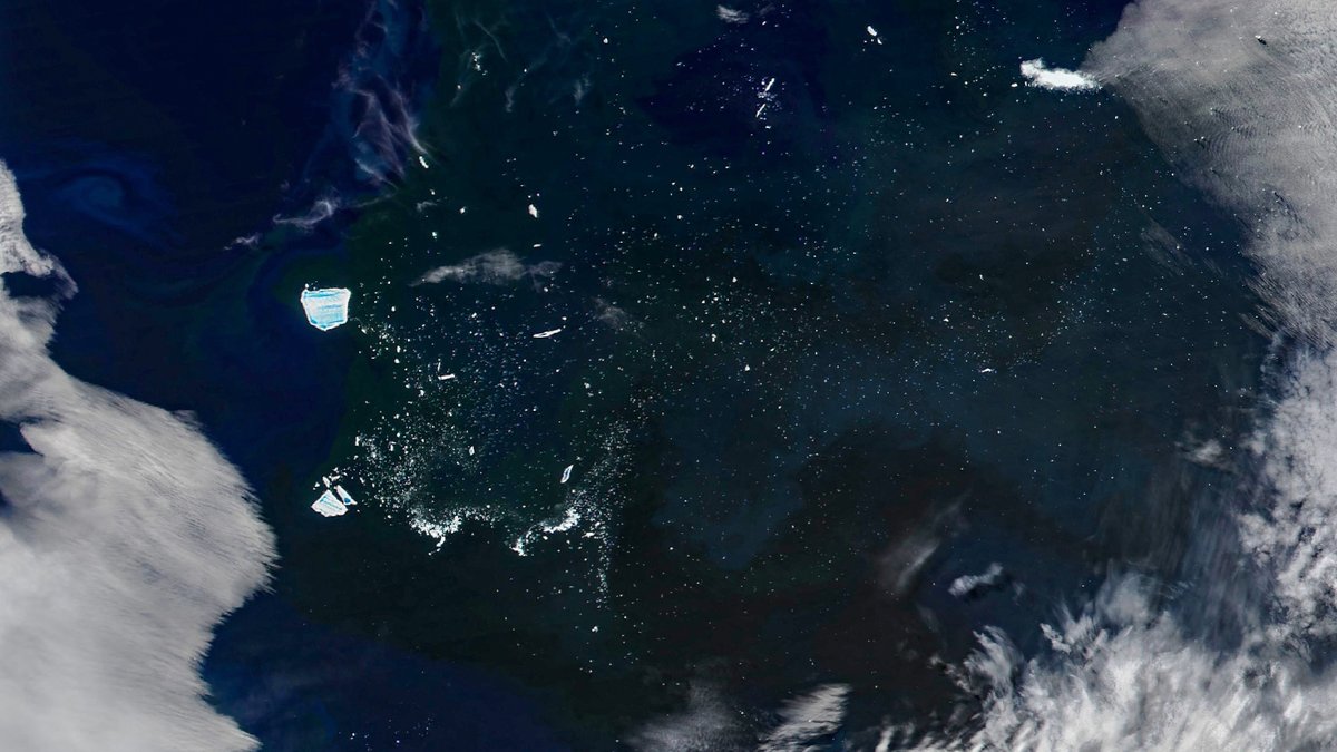 NASA satellite image of phytoplankton blooming around Antarctic iceberg fragments